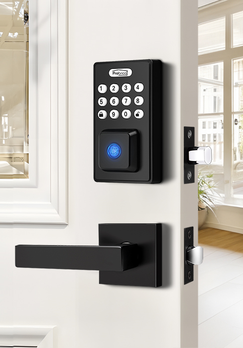 black smart door handle