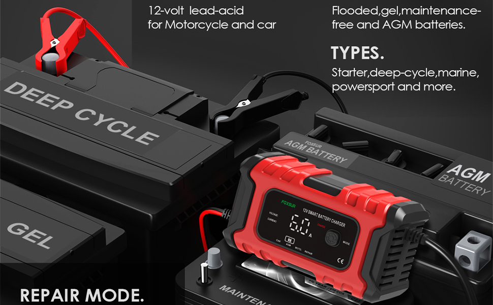 pulse repair battery charger