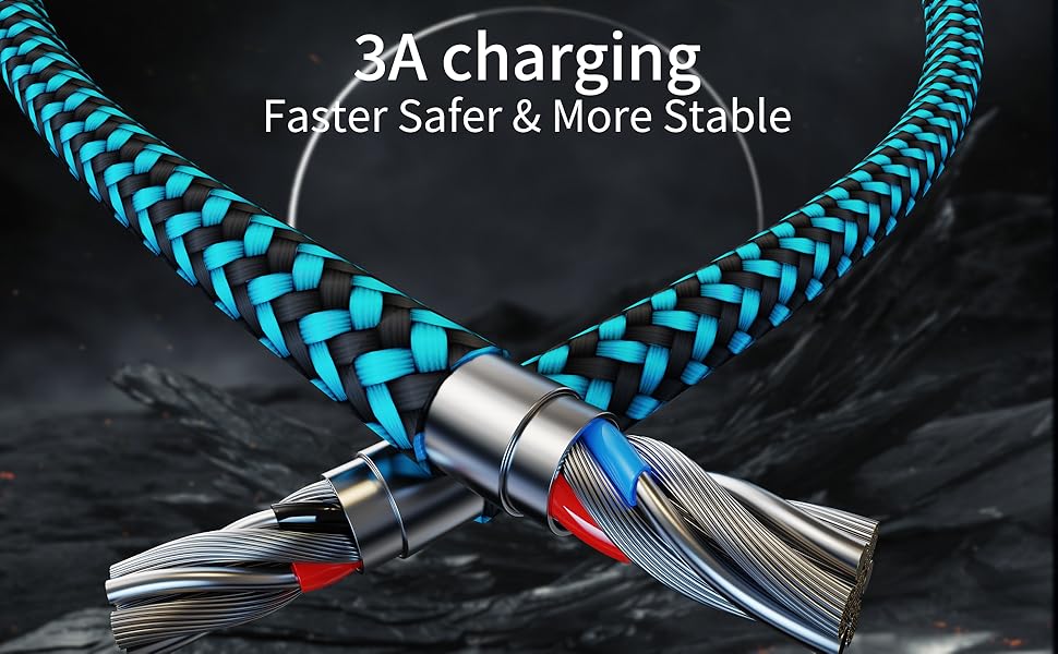 Fast Charging 