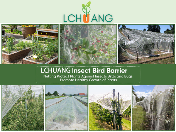 Bird_Garden_Netting_for_Garden_Protection_1