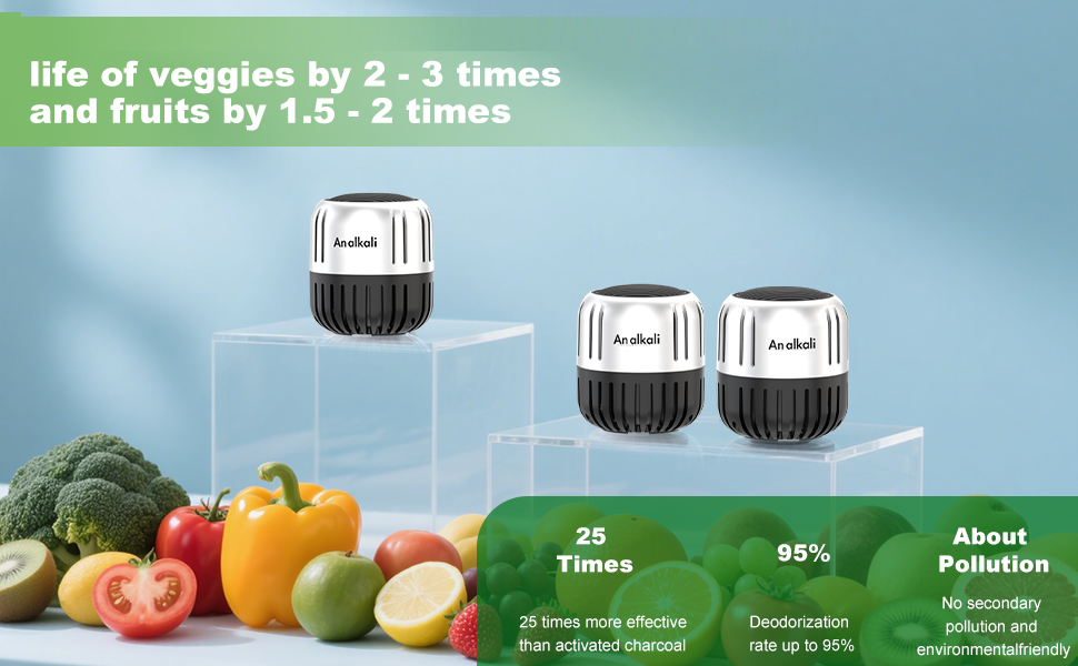 Refrigerater Deodorizer