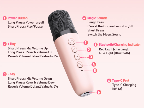 Portable Karaoke Machine