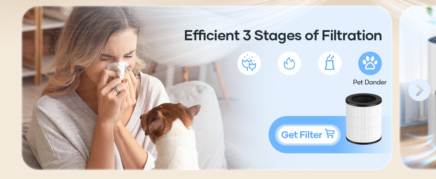 air purifier for pets 