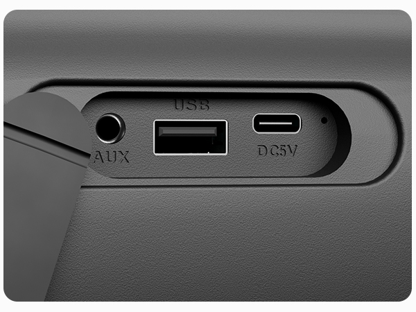 large bluetooth speaker