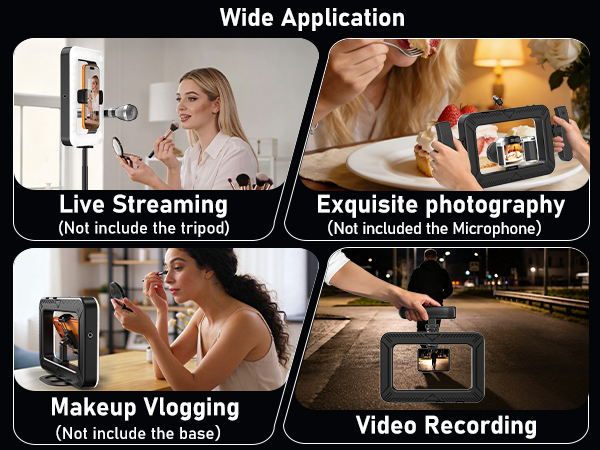Smartphone Video Rig with Light