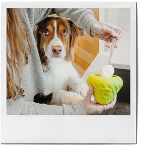 slow feeder bowl
