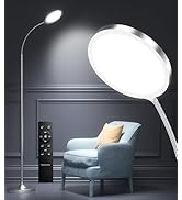 Silver Floor Lamp,Super Bright Dimmable LED Floor Lamps for Living Room, Custom Color Temperature...