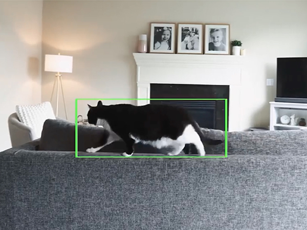 wyze ecurity camera indoor