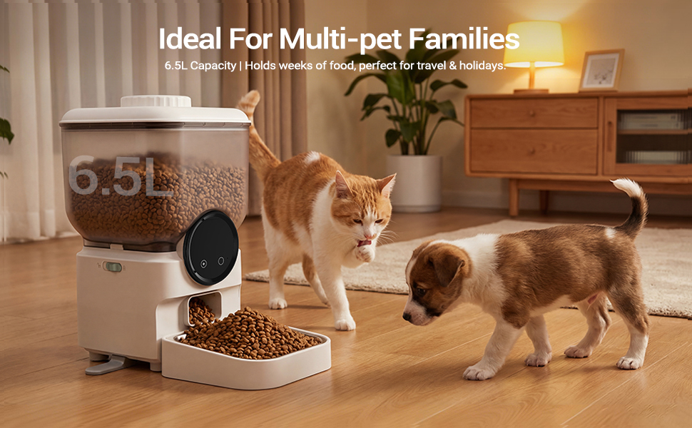 pet feeder