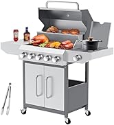 Llamaviva 68,000 BTU 5-Burner Propane Gas Grill with Side Burner &amp; Food Clip | Professional Stain...