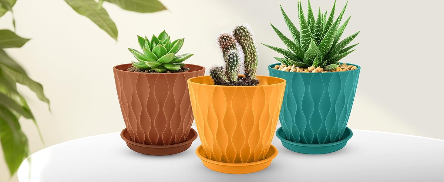 plant pot