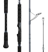 KastKing ReKon Saltwater Spinning Rod, KastFlex IM6 Carbon Graphite Blank, Zirconium Ceramic Guid...