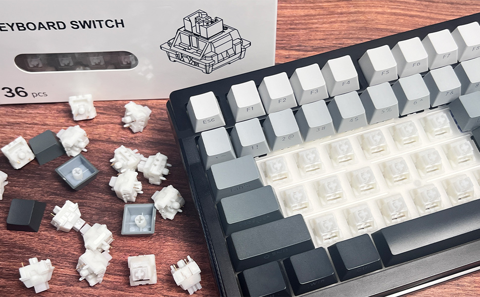 Snow Lotus Silent Switches 