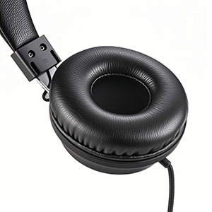 On Ear Kids Headphones Wired with Microphone
