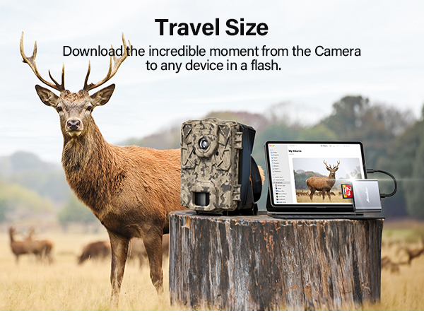 usb c sd card reader