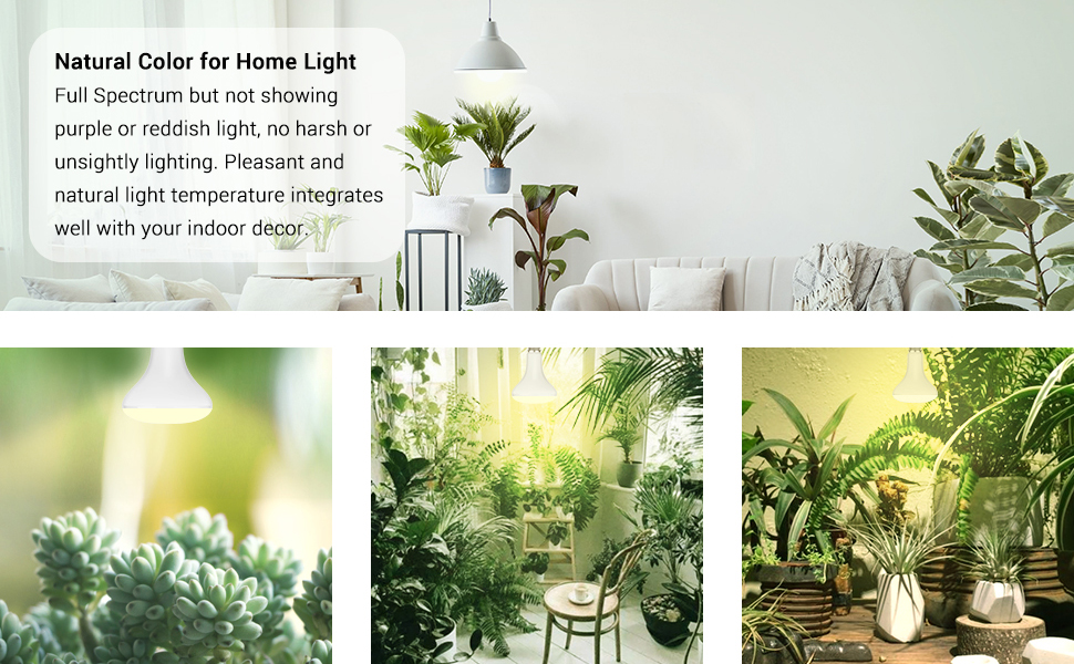 grow light bulb full spectrum