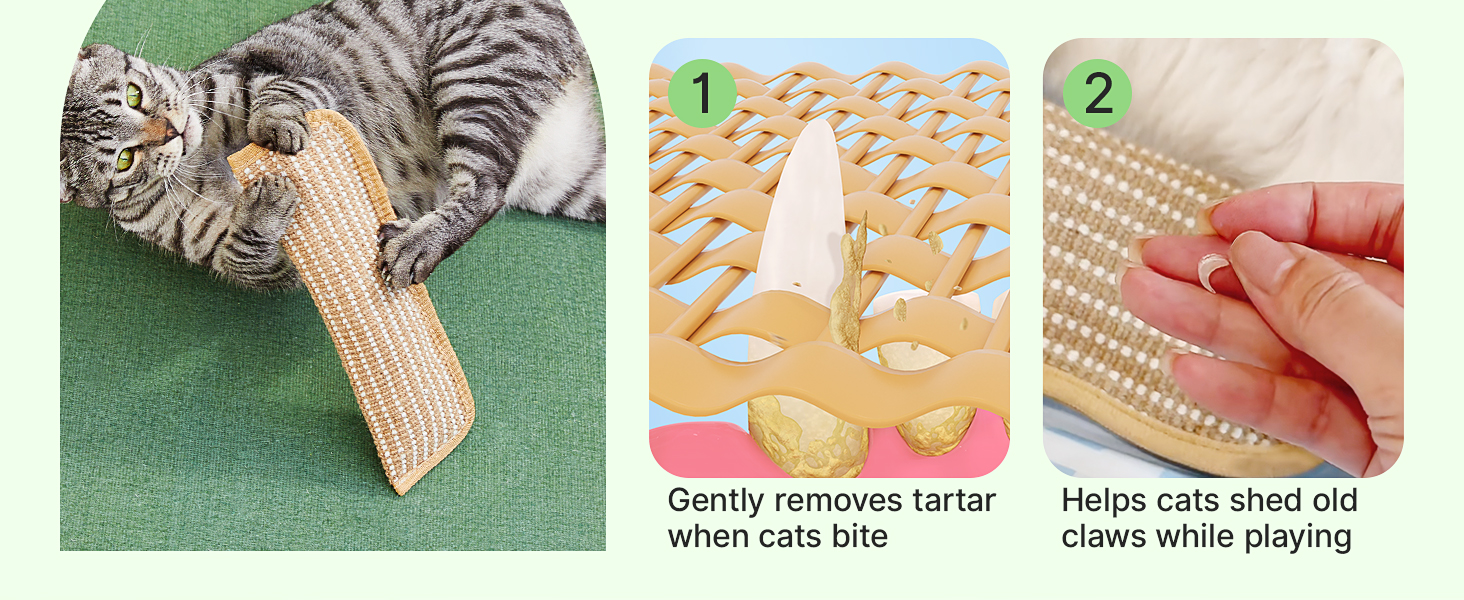 cat toy for indoor cats