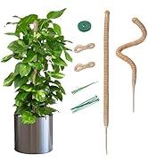 Mcbazel 2 Pack 27.5 Inch Moss Pole for Plants Monstera, Plant Support Stick, Bendable Moss Poles ...