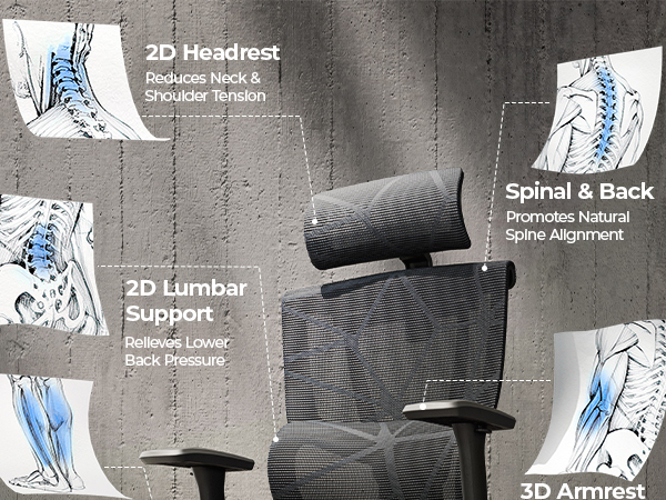 ergonomic office chair