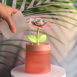 Desk Humidifier Diffuser Cute Small 260ml Cool Mist Auto Shut Off for plants bedroom