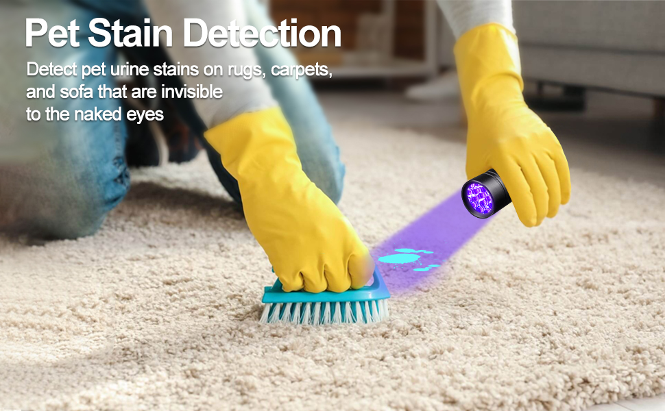 Pet stain detection