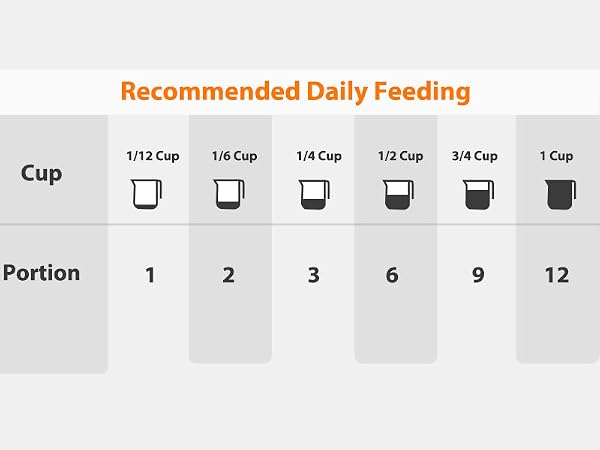 automatic cat feeders 2 cat