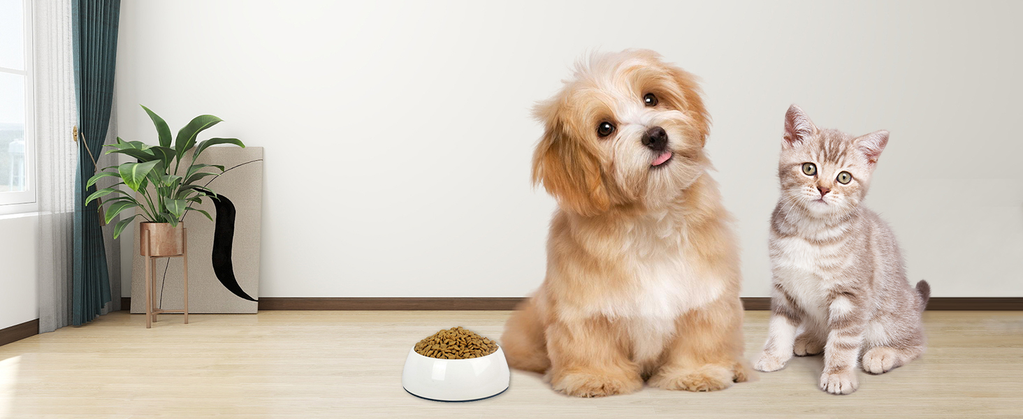 heavy duty kitchen scale