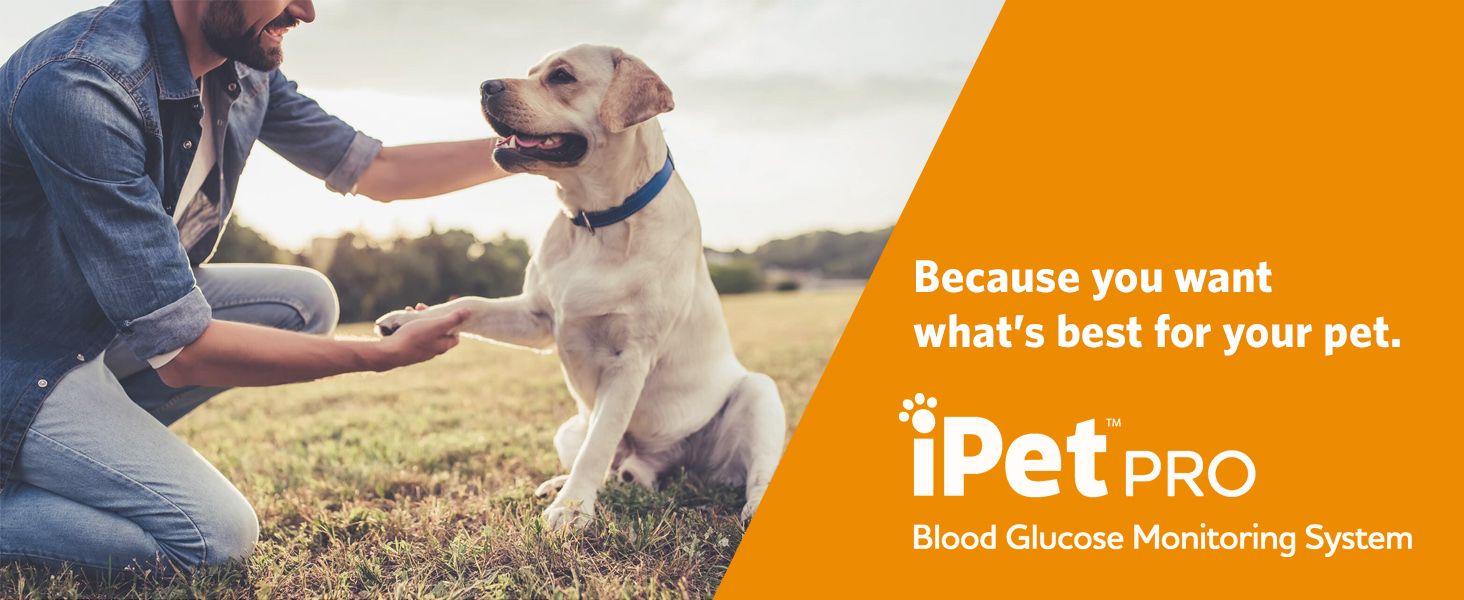 Man shaking hands with dog. iPet PRO - Because you want what's best for your pet.