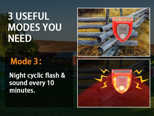 motion sensor light switch cat deterrent outdoor dog whistle to stop barking neighbors dog