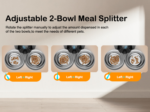 automatic cat feeder