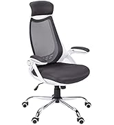 Monarch Specialties I 7269 Office Chair, Adjustable Height, Swivel, Ergonomic, Armrests, Computer...