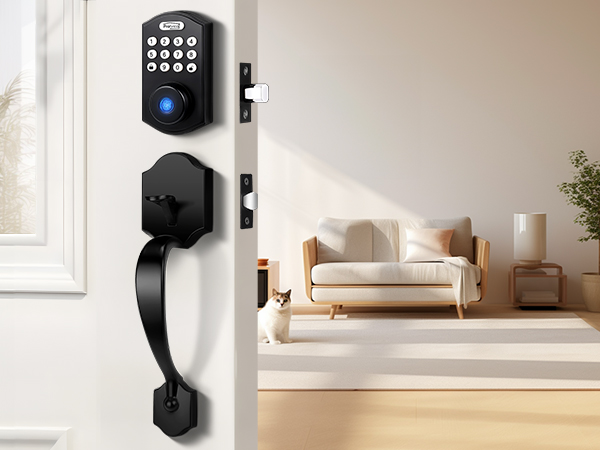 smart door handle