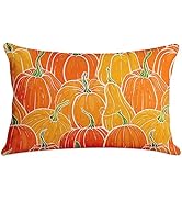 Bayson Fall Throw Pillow Cover Autumn Thansgiving Orange Hello Pumpkin Farmhouse Decor Rectangle ...