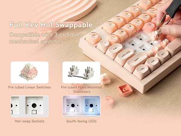 This is a mechanical keyboard featuring full-key hot-swappable functionality