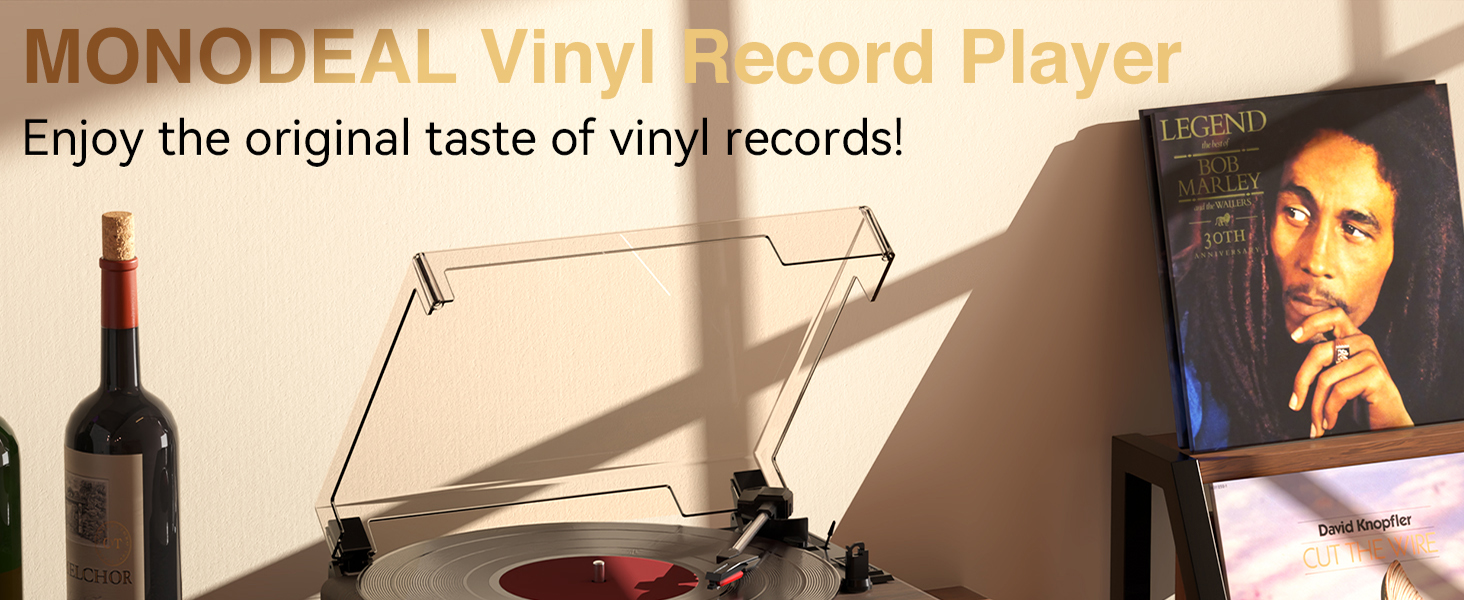 vinyl record player