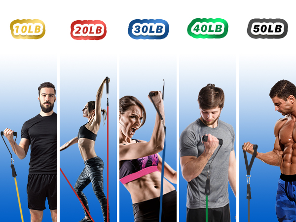 exercise bands
