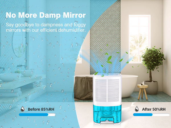 dehumidifier for bathroom