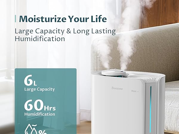 Humidifiers for Large Room