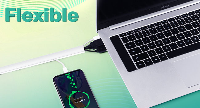 cable protector dogs cats