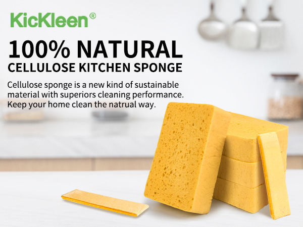 kickleen french sponge