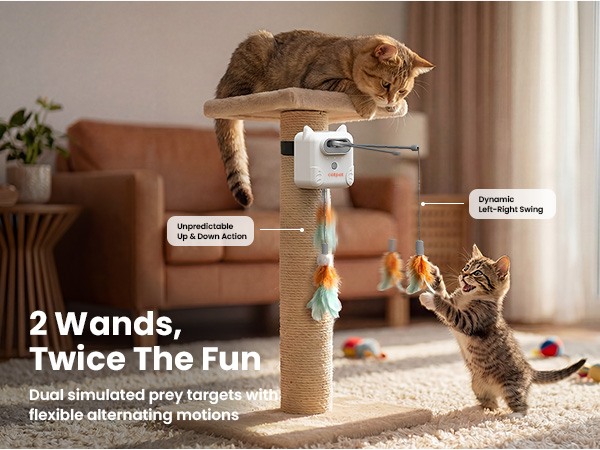 cat toy 611-1