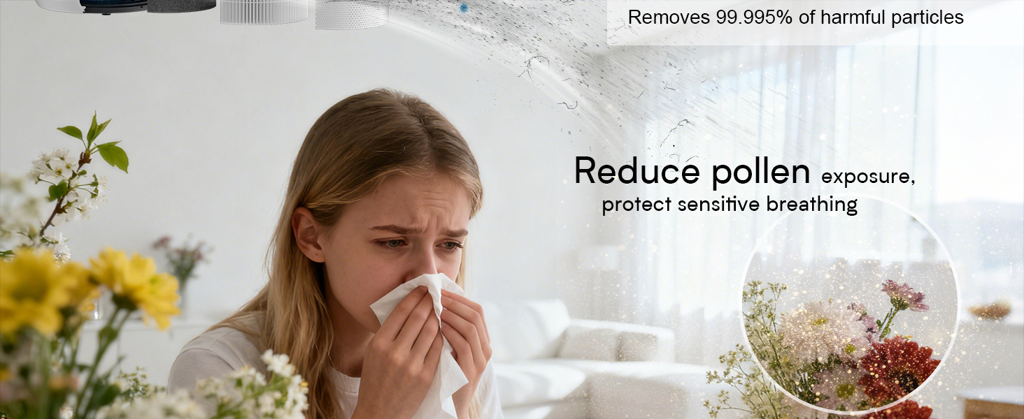 hepa air purifiers for home