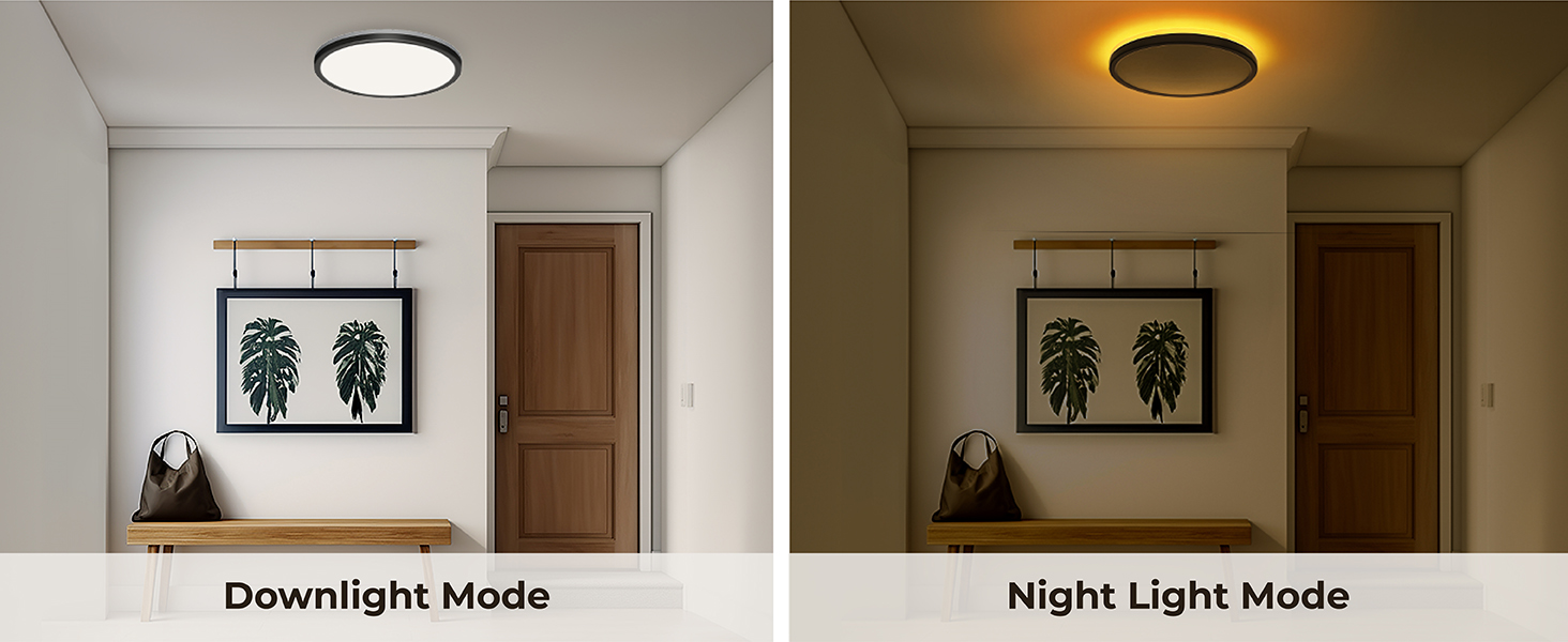 remote control ceiling light