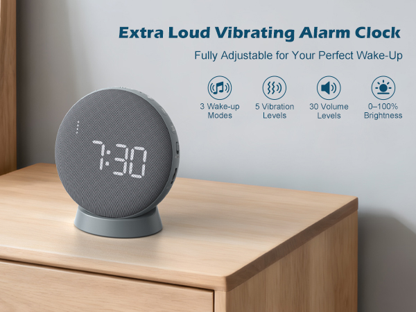 Loud alarm clock