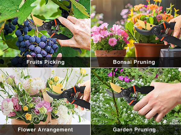 Pruning shears