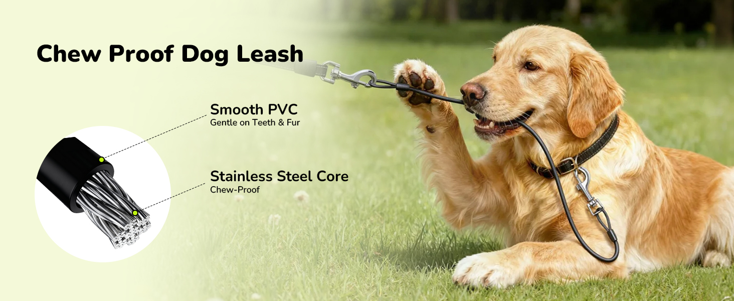 dog leash retractable