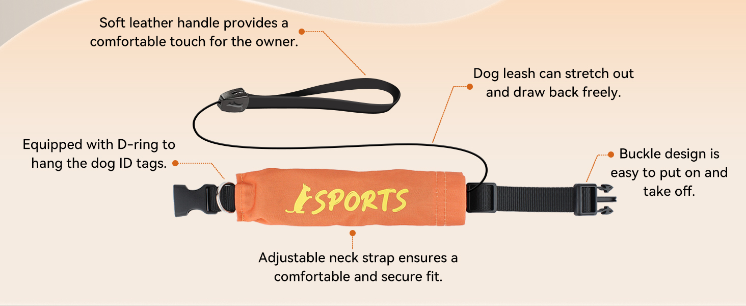 Dog Collar