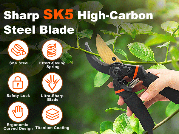 Pruning Shears