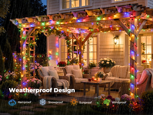 christmas lights indoor