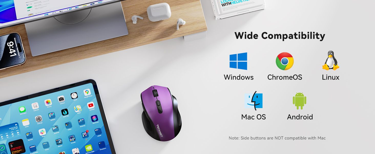 mouse